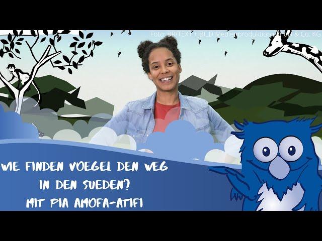 Wie finden Vögel ihren Weg in den Süden? Mit der Kika-Moderatorin Pia Amofa-Antwi