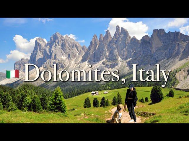 My DOG travels to DOLOMITES, World heritage Italian ALPS l Luxury Forestis Dolomiti l Milan