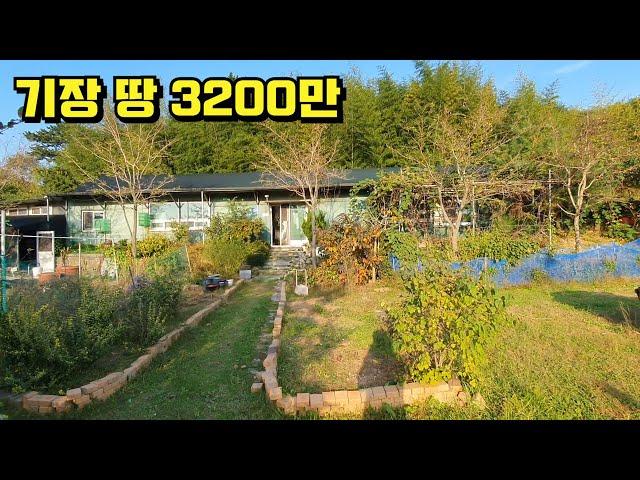 9000만원이 유찰 3200만원 / 부산 기장 토지 (2023타경5729)