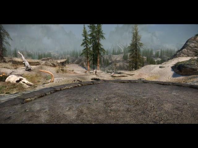 SkyrimSE -- DynDOLOD HIGH Test