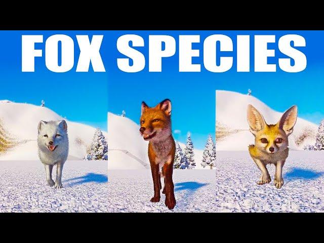 Fox Category Speed Races at winter in Planet Zoo included Arctic Fox, Red Fox, Fennec Fox