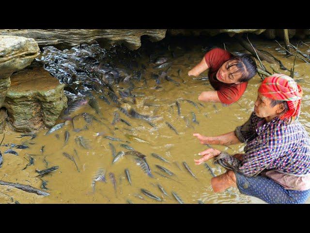 Successfully separate trash fish from the pond for the mother - Ban Thi Diet