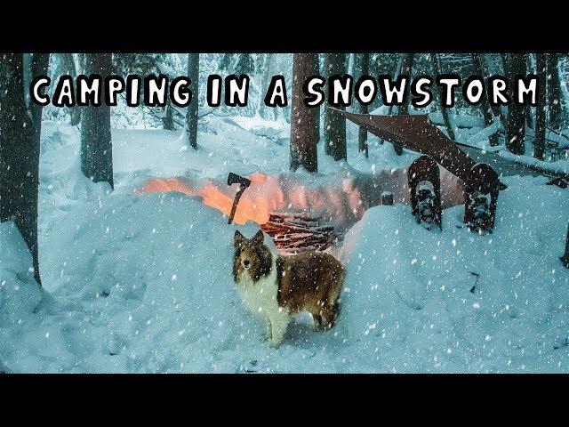 Winter Camping in a Snowstorm with My Dog