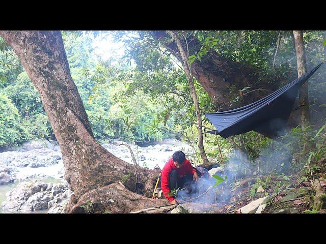 Camping fishing suasana baru hutan kalimantan panen ikan hasil mancing