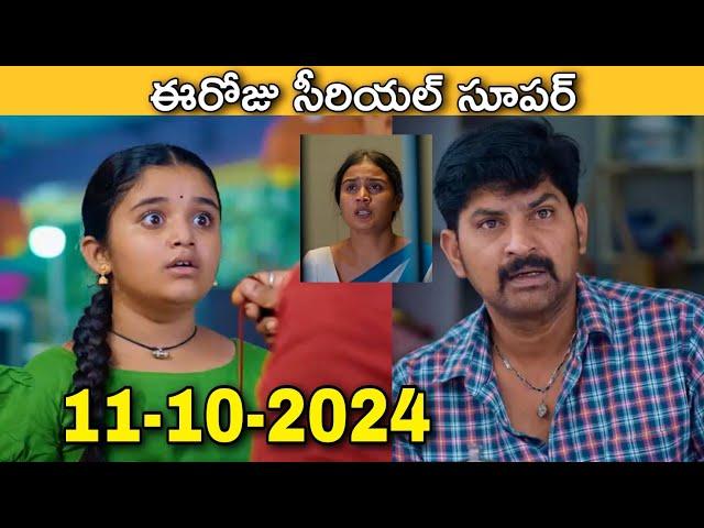 chinni serial today episode full video in telugu| 11th October 2024