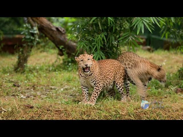 NANDANKANAN Wildlife Sanctuary