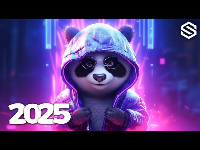 Music Mix 2025  EDM Mixes Of Popular Songs  EDM Bass Boosted Music Mix #001