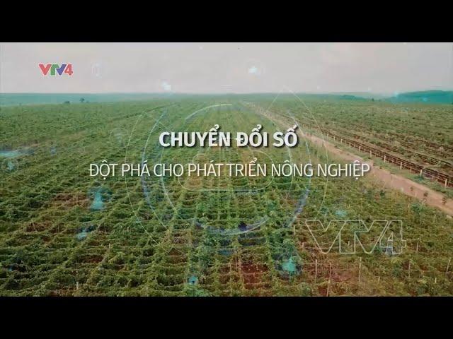 Chuyển đổi số đột phá cho phát triển nông nghiệp | VTV4