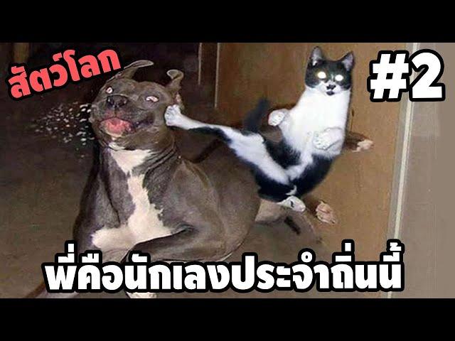 Ep.2 สัตว์โลกกวนตีน - [ พากย์นรก ] | easy boy