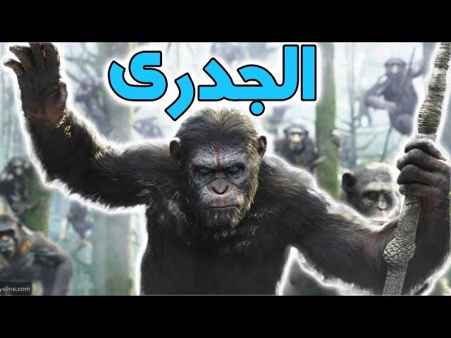 نوليدجستان | جدري القرود(النسناس)  تعرف علي الفيروس الجديد واعراضه وعلاجه وطرق الوقاية 