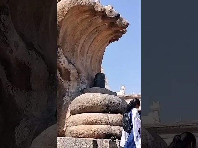 Lepakshi Shiva Mandira #trending #shiv #mhadev #temple #lepakshitemple #god #shivatemple