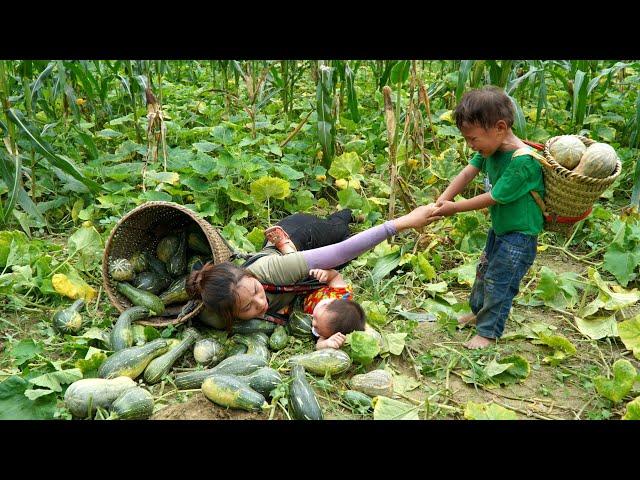 The journey to overcome all difficulties, harvest everything to sell - raise abandoned children