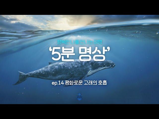 [제5회 서울국제명상엑스포] K-청소년 5분명상 : ep.14 '평화로운 고래의 호흡'