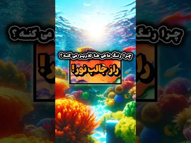 نور ندی، ماهیت رنگش می‌پره!  #شورتس