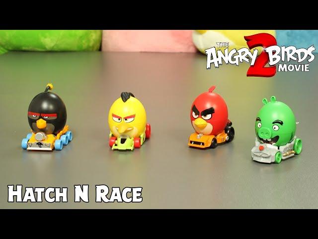 Angry Birds Hatch & Race Surprise | The Angry Birds Movie 2