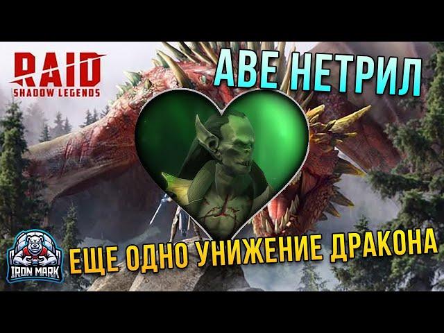 25 Дракон | Соло НЕТРИЛ | Raid Shawod Legends