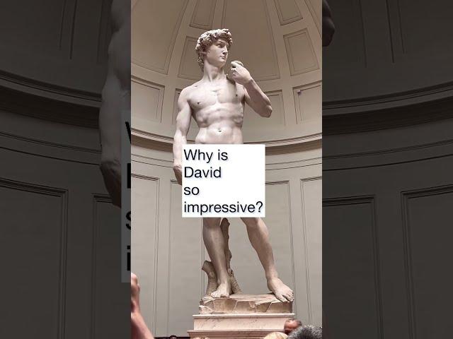 Michelangelo's Sculpture David: The Details  and Skill are Beyond Impressive