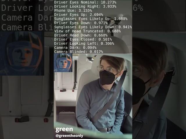 Tesla Interior Camera AI Short #TSLA
