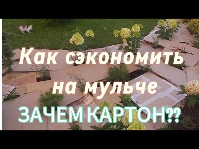 Мульчируем правильно. Картон и мелкая фракция коры.Полоть больше не нужно! Как сэкономить на мульче!