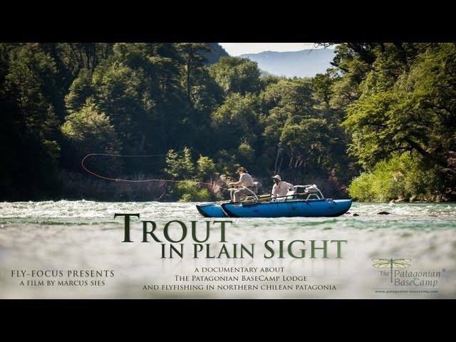 TROUT IN PLAIN SIGHT - Trailer