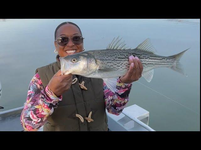 Beautiful 21” STRIPED BASS  California Delta Fishing