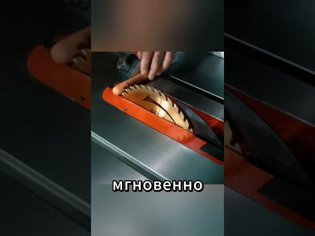 Что происходит, когда палец касается современной циркулярной пилы? Демонстрация системы безопасности