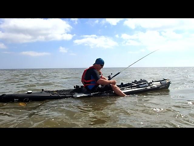 Kayak Fishing Catching Dogfish and Smoothhound at Hopton