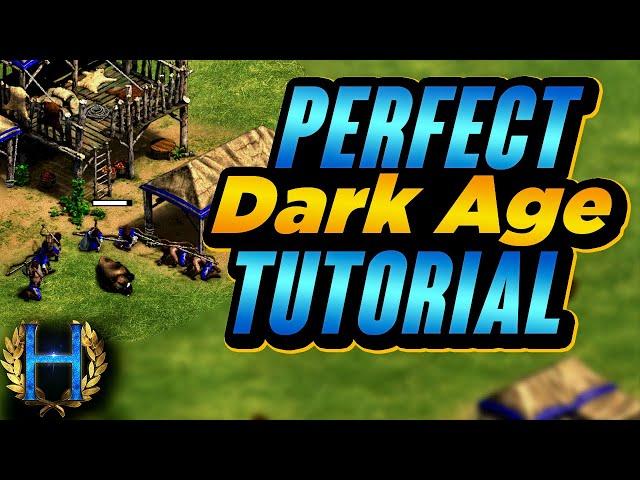 How To Do The PERFECT Dark Age | AoE2