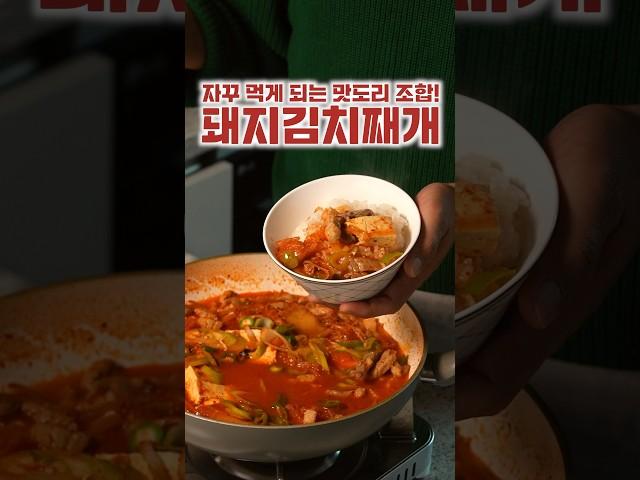 진한 돼지고기 김치찌개