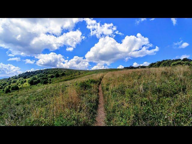 Max Patch and Bluff Mountain - Pisgah National Forest, NC