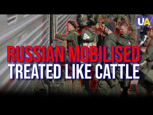 Russian Mobilised Soldiers Are Treated like Lifestock: How Long Will They Tolerate It?