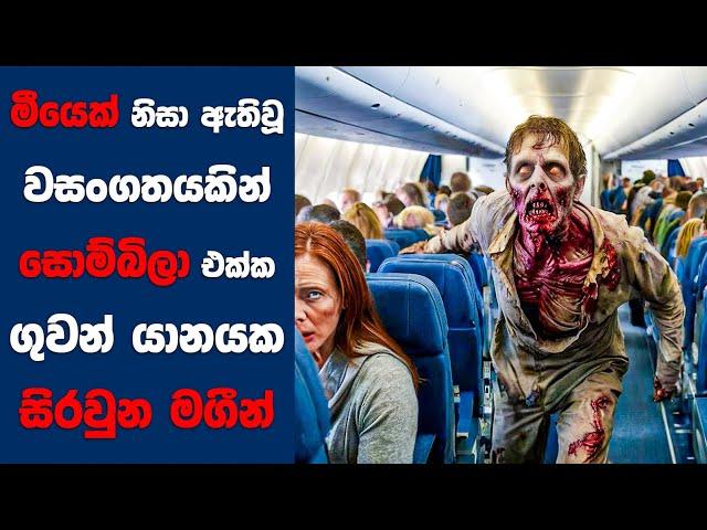 "Quarantine : Terminal " සිංහල Movie Review | Ending Explained Sinhala | Sinhala Movie Review