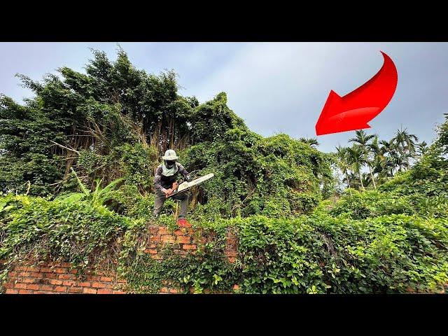 Terrifying Transformation Giant Tree Saw House Mowing the large, overgrown garden