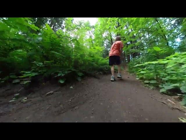 Zanderman exploring in the woods