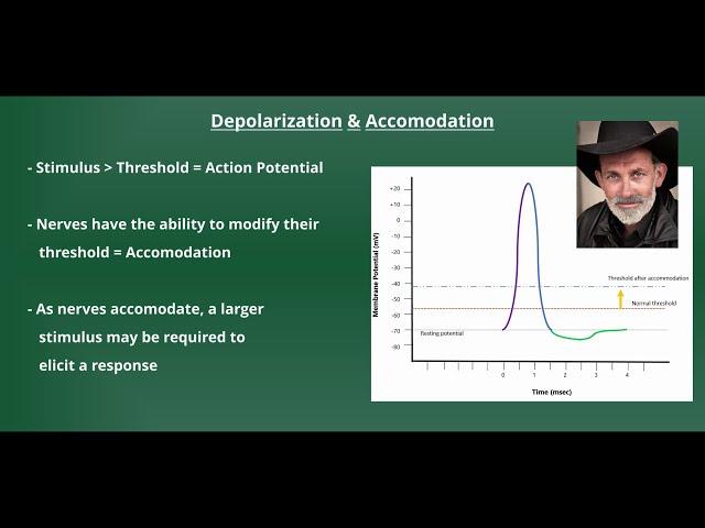 Introduction to Electrical Stimulation