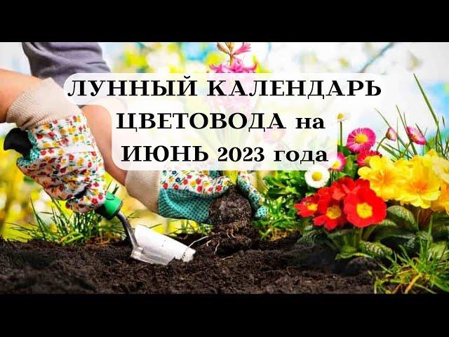 ПОСЕВНОЙ ЛУННЫЙ КАЛЕНДАРЬ ЦВЕТОВОДА на ИЮНЬ 2023┃#луна #календарь #июнь #2023 #сад #удача #топ