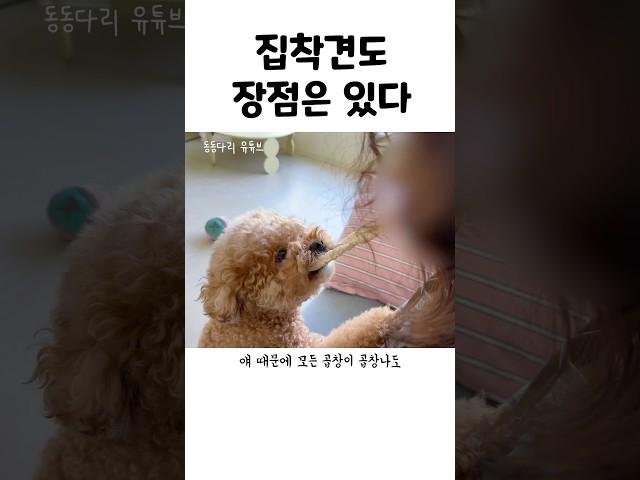 곱창에 미친 강아지