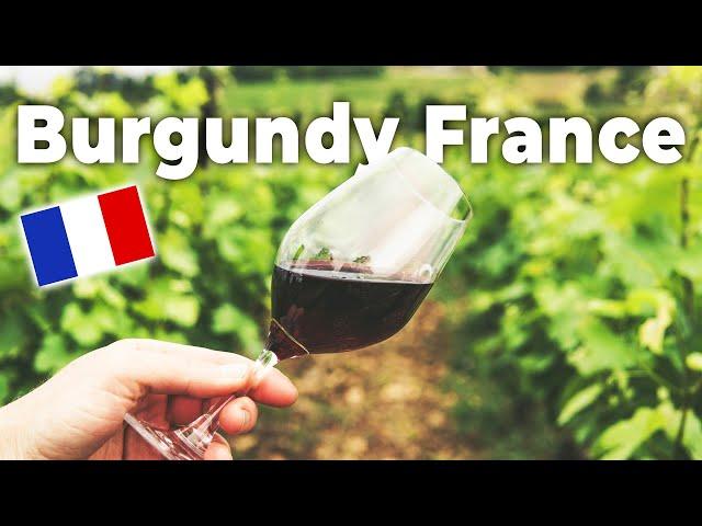 These are the MOST EXPENSIVE wines in the world? Burgundy, France