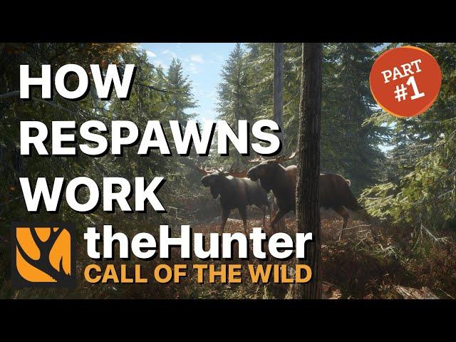 How Respawns REALLY Work in The Hunter: Call of the Wild