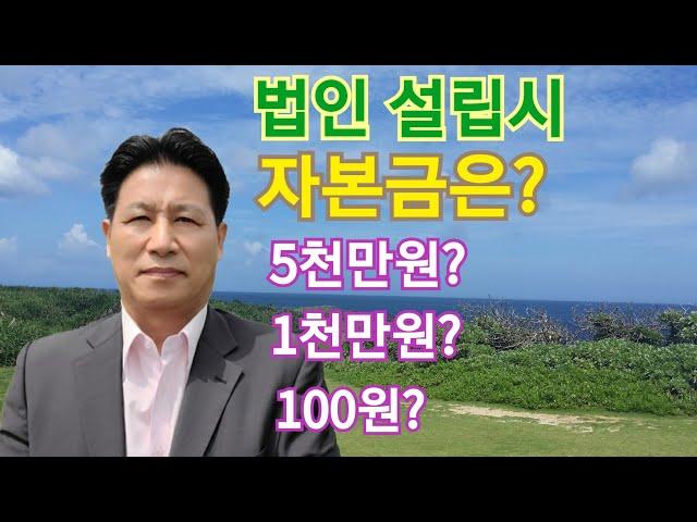 법인설립시 적정 자본금 규모는? ft.법인컨설팅