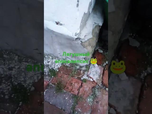 хз что писать