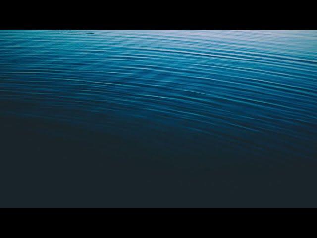 ALAN WATTS CHILLSTEP 2  TERRESTRIAL EXITIUM 