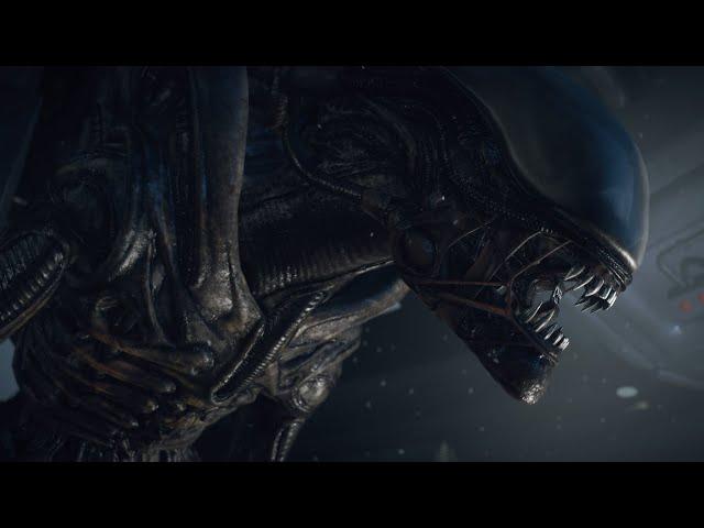 Legendary masterpieceㅣAlien series binge-watching