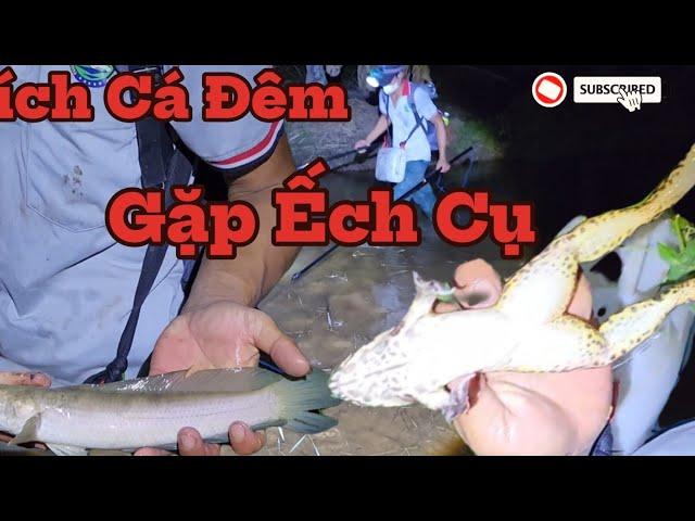 kích cá, Buổi Chiều Mưa Lớn Mình Cùng Với Linh Đi Kích Cá, Mời Cô Chú Anh Chị Cùng Xem Ạh