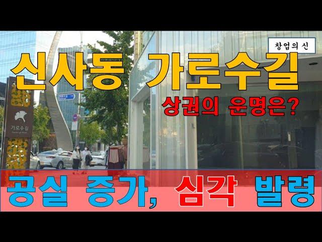 강남 상권의 꽃 가을의 신사동 가로수길, 심각 단계 발령