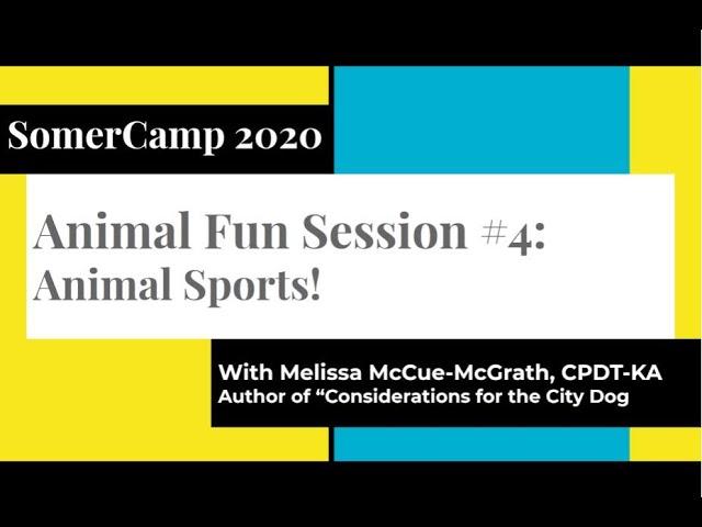 Somercamp 2020: Snail Racing, Horse Soccer and Bunny Agility - Animals in Sports