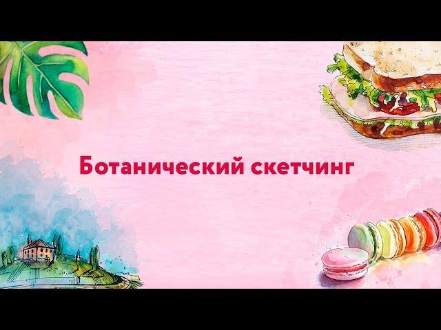 Как нарисовать кактус. Урок рисования. Скетчинг для начинающих.