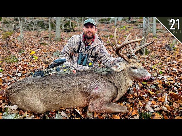 BIG WOODS BUCK with a BOW!!! - (Missouri Public Land)