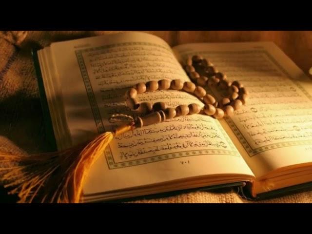 AL QUR'AN NONSTOP JUZ 1-30