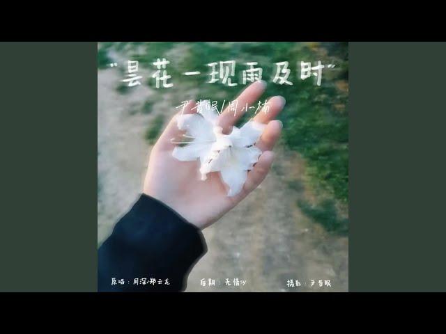 昙花一现雨及时